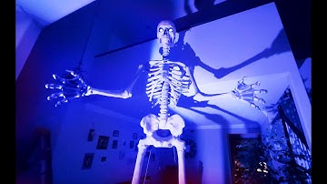 12 Foot Skeleton from Home Depot unboxing and setup!