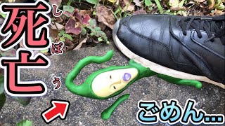 【閲覧注意】草むらから出てきたクサマダラオオコビトを踏みつぶしてしまいました…