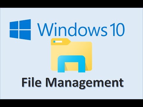 Computer Fundamentals - File Management - Folders and Subfolders Structure - Windows 10 and Mac OS X