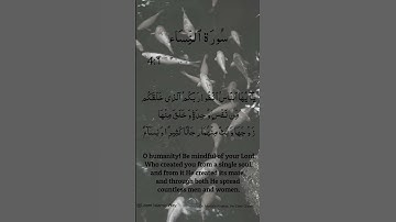 Surah An-Nisa Ayat No 4 :1 | Arabic  | سورة النساء | With English Translation verses #quran #allah