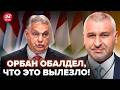 ⚡️СКАНДАЛ на ВСЮ ВЕНГРИЮ! ОРБАНА сдают С ПОТРОХАМИ: раскопали ТАКОЕ, что все АХНУЛИ. ФЕЙГИН