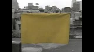 Talking Heads - The Lady Don't Mind