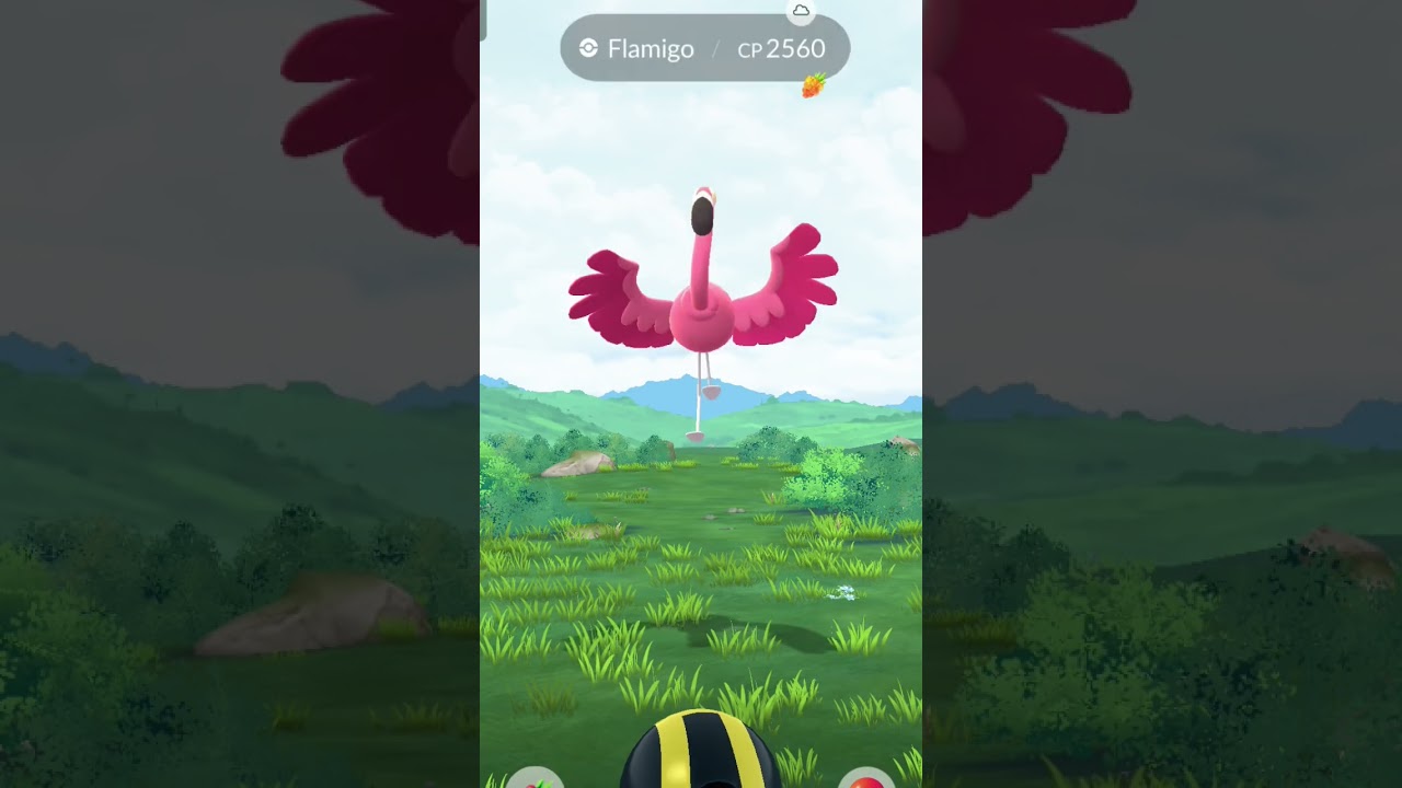 I have new 🦩 pokemon hundo 💝💝🥹🥹🥹