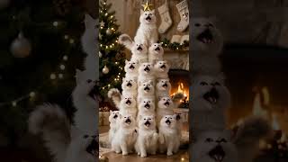 Fluffy White Kittens Form a Christmas Tree 🎄🐱 Cutest Holiday Moment #cat