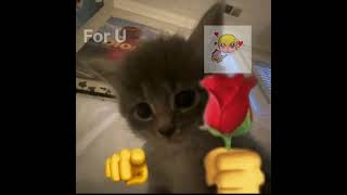My first edit 