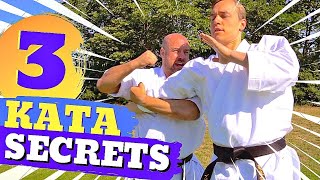 How To FIGHT With KATA (Forms) - Iain Abernethy & Jesse Enkamp