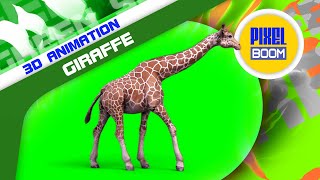 Green Screen Giraffe Savannah Animals 3D Animation - PixelBoom