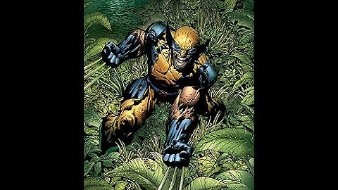 DCUO Wolverine Style