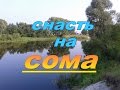 Снасть на сома своими руками с  изготовлением крючков.