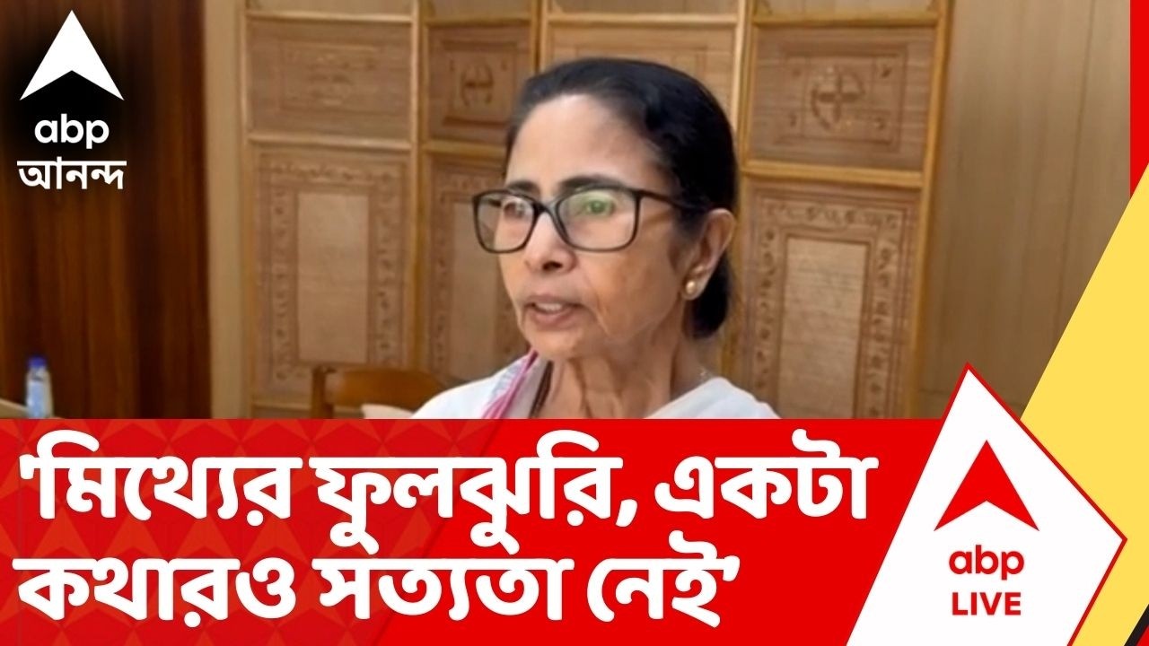 Mamata Banerjee: 'মিথ্যের ফুলঝুরি, একটা কথারও সত্যতা নেই', আক্রমণ মমতার | ABP Ananda Live