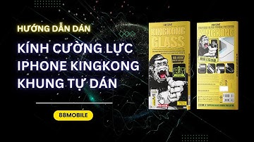 Hướng Dẫn Dán Kính Cường Lực iPhone Kingkong Tại Nhà Chi Tiết và Đơn Giản Nhất I 88Mobile