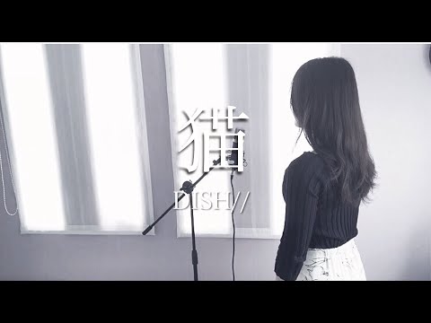 【女性が歌う・フル】猫 / DISH// ｜(Cover by Natsuco)