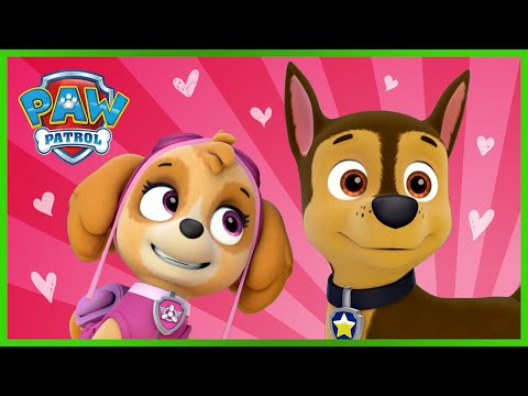 PAW Patrol Friendship Song for Valentine's Day | PAW Patrol | Cartoons for Kids