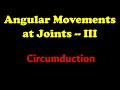 Circumduction movements at different synovial joints | Angular movements | Shoulder | Hip joint