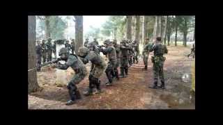 CFC 2013 - 29º BIB