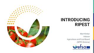EFSA Pest survey Toolkit: Risk based Pest Survey Tool (RiPEST) - Spanish subtitles