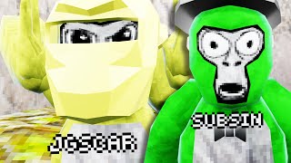 Playing Animal Company With Subsin