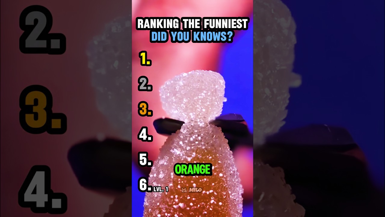 ranking funniest did you know moments #usa