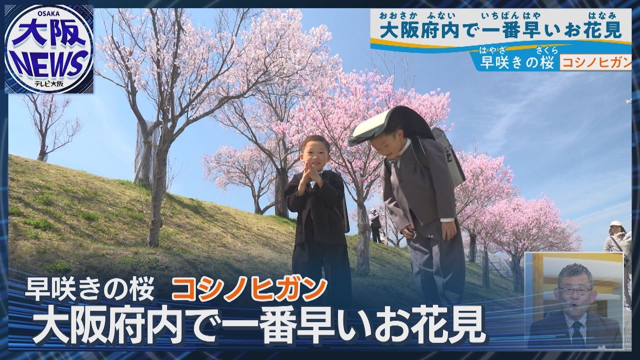 お花見 お花見🌳🌸】新入社員歓迎会もかねてお花見に行ってきました🤗｜東証