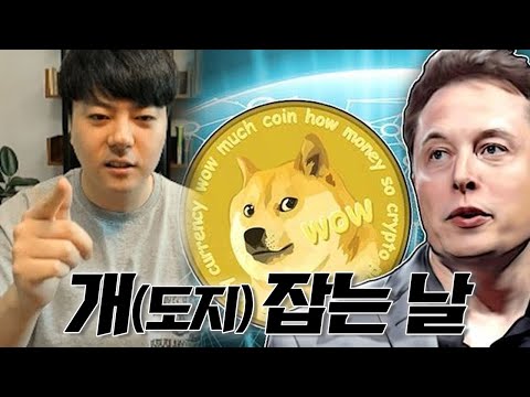 도지코인에 전재산 공매도를 박았더니... #shorts