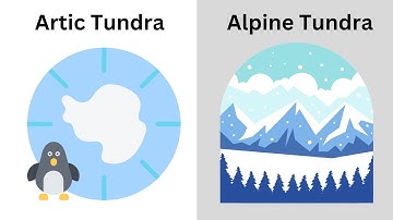 Arctic and Alpine Tundra