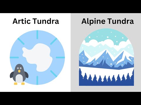 The Tundra-Biomes of the World