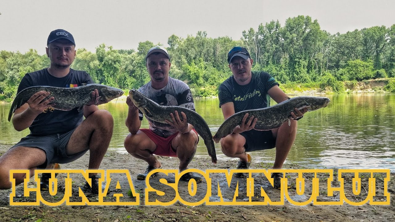 PESCUIT LA SOMN PE VERTICALA