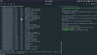 Stack Two - Exploit Education - Vulnerabilidad strcpy