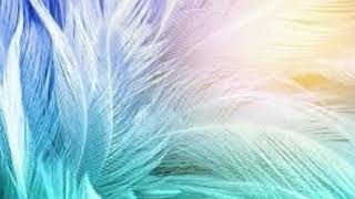 Song-  Feathers, Archie and Fareoh (free download)