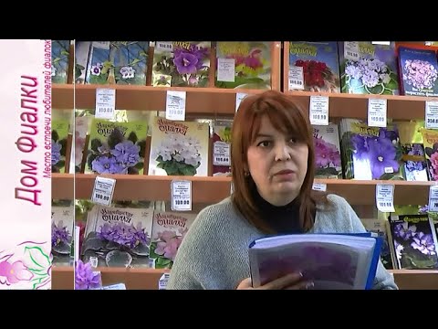 ДФ. М.Тотиева о своих химерах (МТ-)
