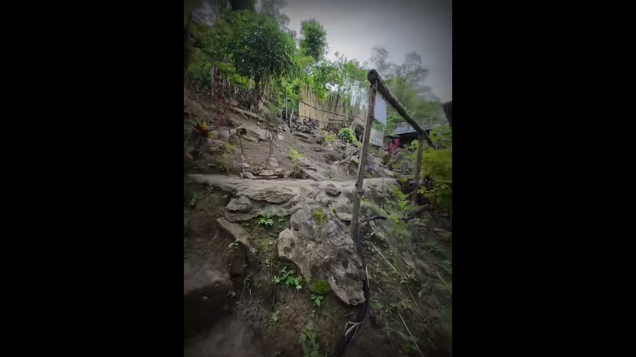 Walking tour CAMP AMAZING 