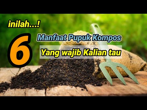 Video: Faedah Kompos - Ketahui Tentang Kelebihan Menggunakan Kompos