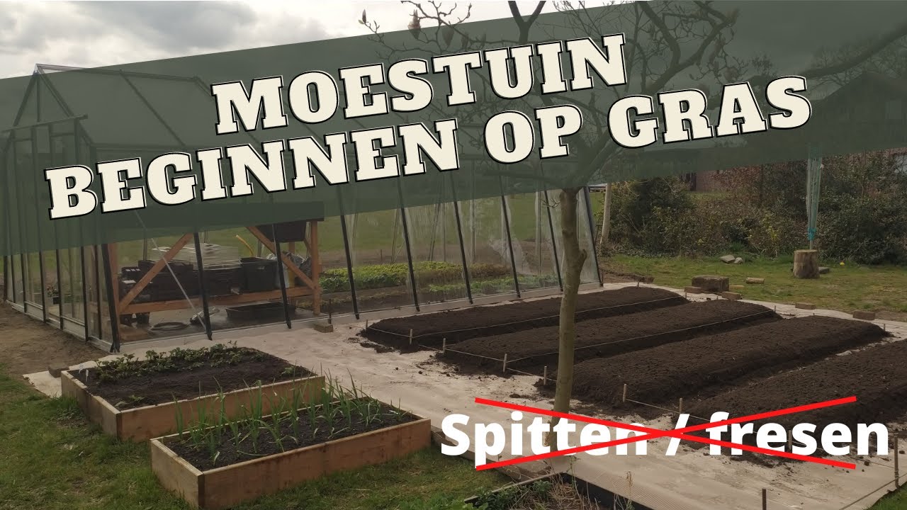 Moestuin beginnen op gras