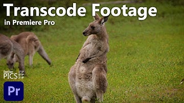 Transcoding Bulk Footage clips in Adobe Premiere Pro and Media Encoder | #Transcode #MediaEncoder