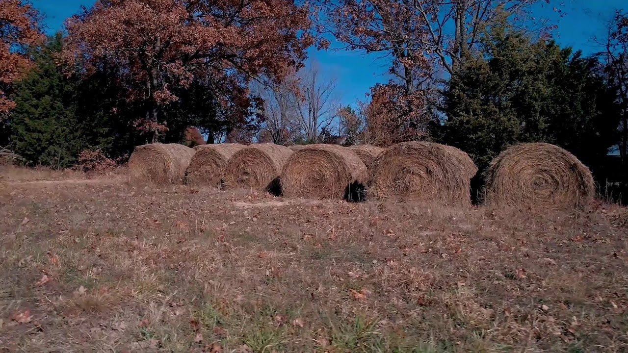 118 Acres For Sale in Long Lane, Missouri YouTube