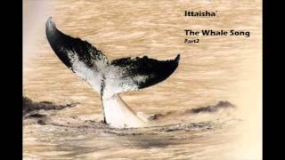 The Whale Song part 2