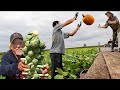 Harvest In Pennsylvania