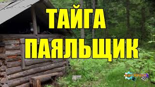 видео: ПАЯЛЬЩИК картинка: ПАЯЛЬЩИК