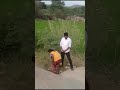 Nallamda