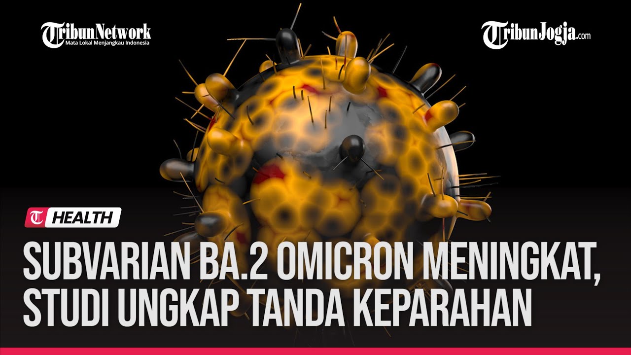 SUBVARIAN BA.2 OMICRON MENINGKAT, STUDI UNGKAP TANDA-TANDA KEPARAHAN