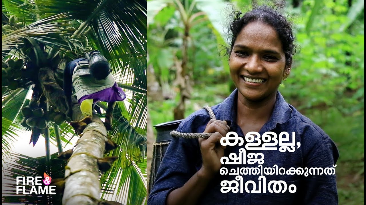 കള്ളുചെത്തി കുടുംബം നോക്കുന്ന പെണ്ണ്| First Female Toddy Tapper Kerala | Sheeja Kannavam