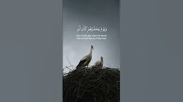 Part Of Surah Yunus 3 جزء من سورة يونس 3 عبد الرحمن مسعد القرآن الكريم تلاوة خاشعة 