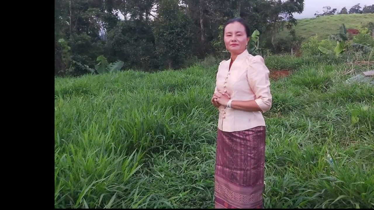 vwj hawj kwv txhiaj tau txiv g hlub 29 7 23