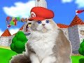 Super Cat 64 Compilation!