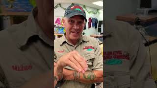 Three HUGE Mistakes Beginners Make In Snake Care 😳 #shorts