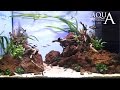 Aquascaping Lab - Tutorial Natural Aquarium Volcanic rocks "Red Passion" (size 80x50x40h 160L)