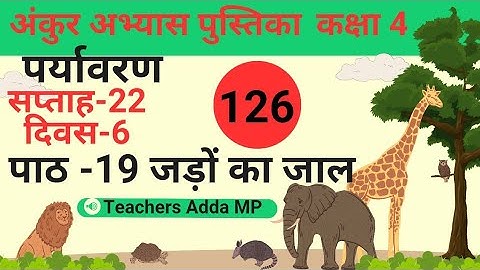 पाठ 19 जड़ों का जाल अंकुर अभ्यास पुस्तिका पर्यावरण कक्षा 4 सप्ताह-22 दिवस 6 #evs #fln #ankur