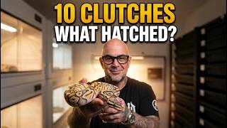 Full 10 Pairings, 10 Clutches... Wait Until You See What Hatched Update