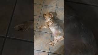 Peabody won’t move