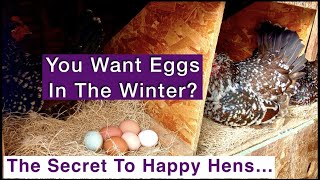 You Want Eggs In The Winter? Chickens Can Lay Eggs All Year. The Secret To Happy Hens Is... by Funny Farm Homestead 87 views 2 years ago 9 minutes, 56 seconds